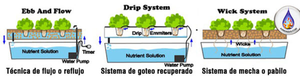 Cultivo hidropónico qué es cómo dónde 7 por qué AYDOAGUA