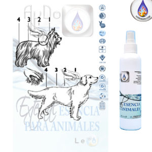 Eco pipeta bio esencia perros gatos mascotas aydoagua