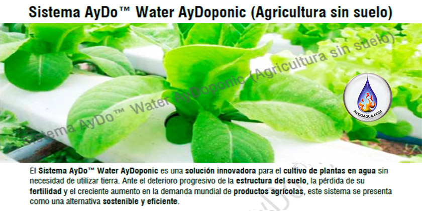 Descubre cómo AyDo™ Water AyDoponic transforma la agricultura sin suelo con soluciones sostenibles, orgánicas y eficientes