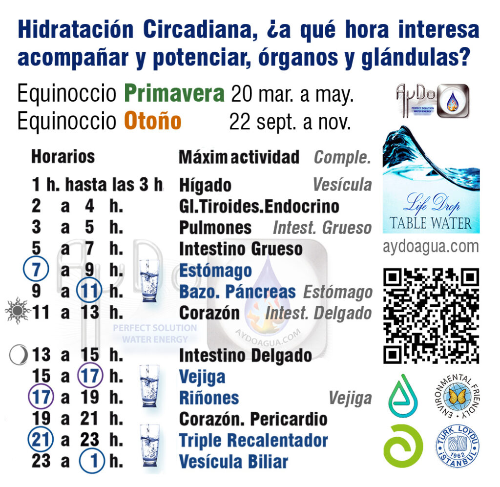Hidratacion Circadiana agua superionizada aydo Primavera equinoccio- aydoagua