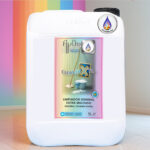 Limpiador Multiusos Eco eXtra Biodegradable 5L AyDoAgua