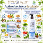 Ingredientes eco del Kit Cosmética Natural AyDoAgua con Serum Crema Facial y Gel Corporal Vegan
