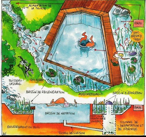 Biopiscinas Bioestanques piscinas naturales aydoagua