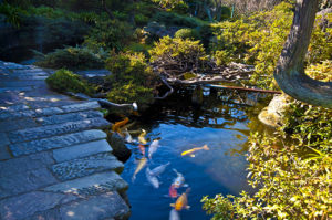 estanque jardin-puente-aydoagua