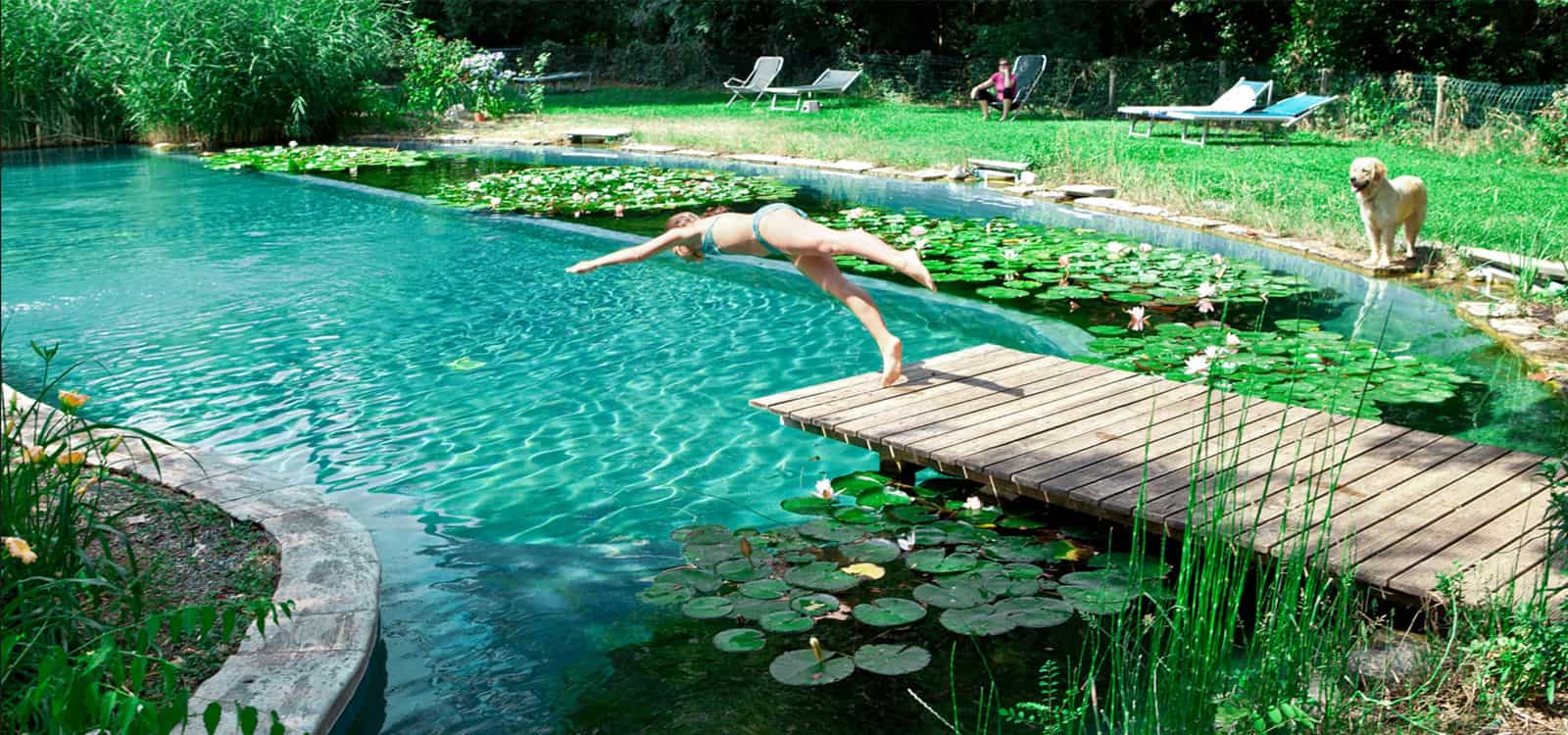 natural-piscina-ecologica-aydoagua