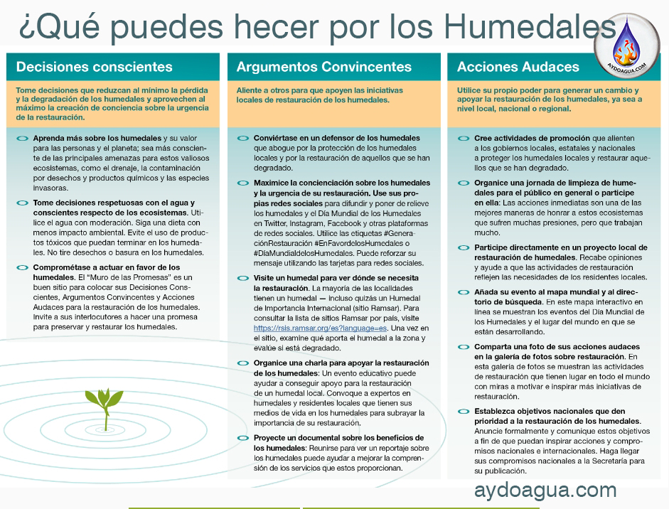 Que puedes hacer por los humedales GeneraciónRestauración_aydoagua