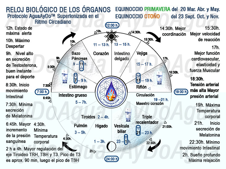 Protocolo-AguaAyDo-Horario-Equinoccio-primavera-otoño