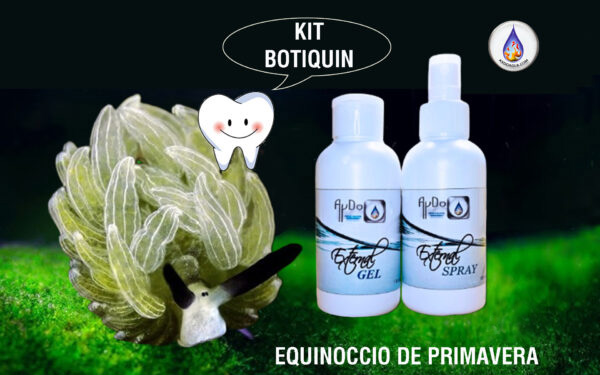 Equinoccio Primavera Edith aydoagua con Obeja de mar Costasiella kuroshimae-DIENTES Pasta dientes eco Botiquin aydoagua