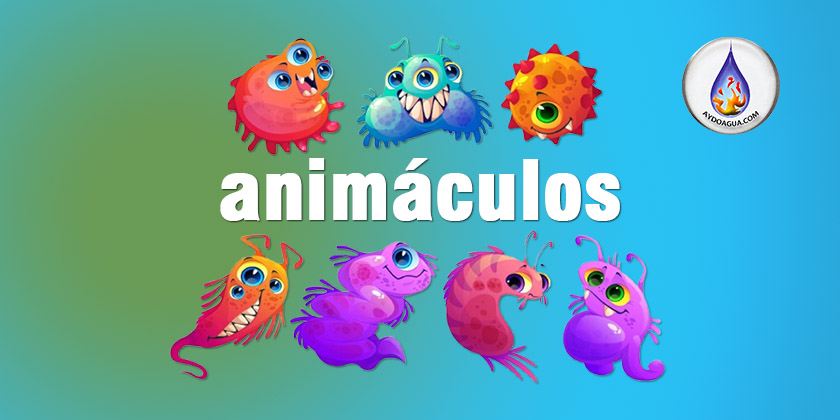 Animaculos lo invisible es protagonista AyDoAgua BONUS