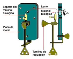 Leeuwenhoek animaculos del microscopio mini_aydoagua