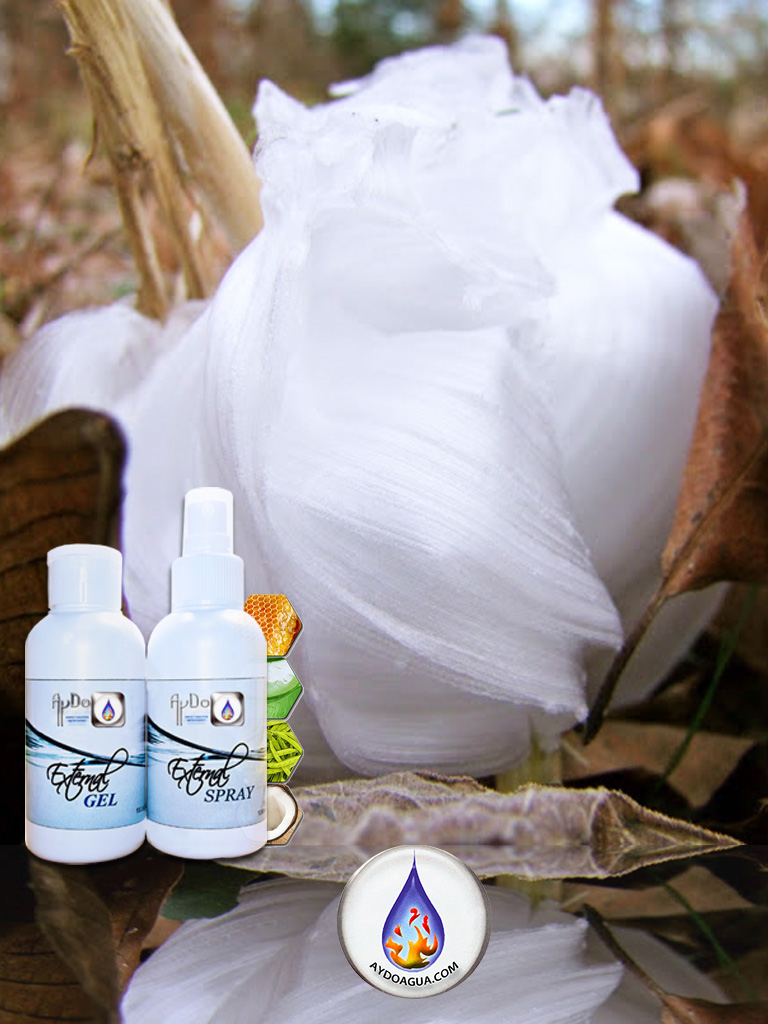 Flores de hielo tipo cinta (ice ribbons) con Kit Botiquín AyDoAgua (gel y spray) para cuidado de invierno.