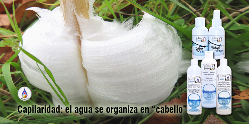 Flores de hielo (ice hair) por capilaridad en un tallo, junto al Kit Cabello Reparador Microbioma Capilar AyDoAgua para caída estacional.