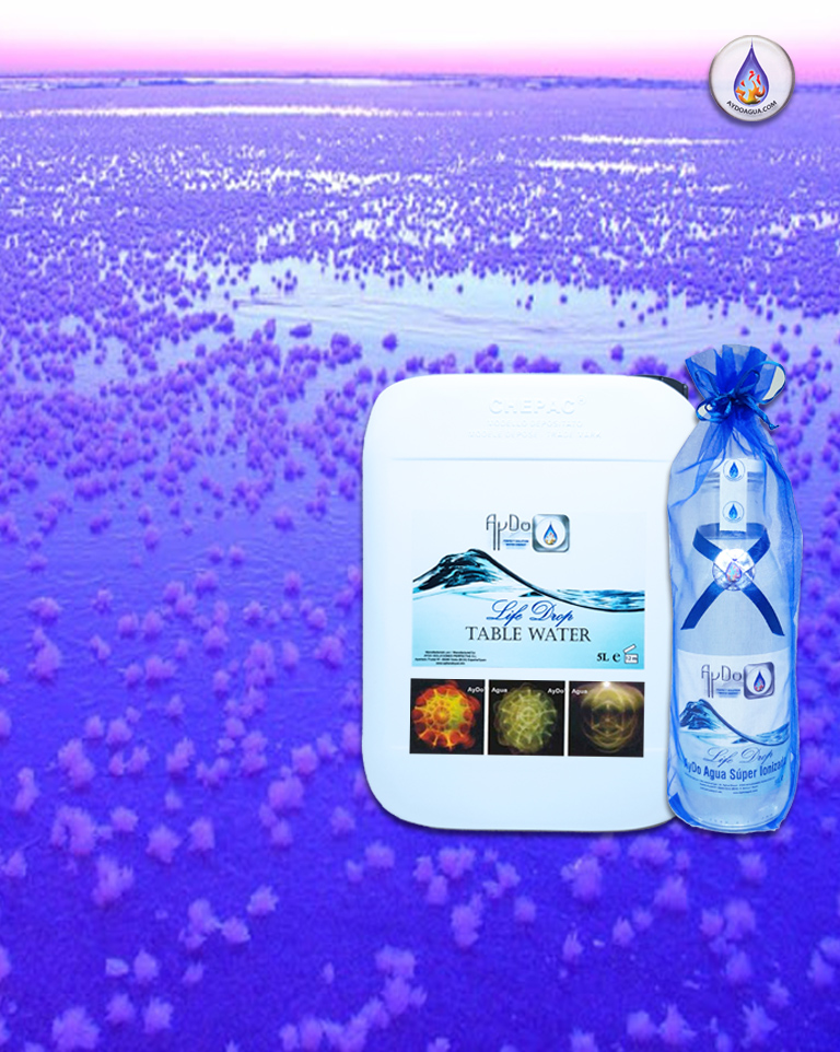 Flores de hielo en paisaje violeta con Agua Superionizada SIW AyDoAgua y cristales SIW en la etiqueta.
